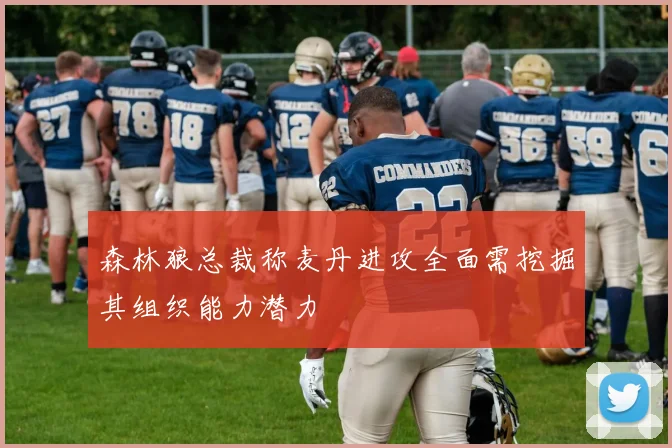 森林狼总裁称麦丹进攻全面需挖掘其组织能力潜力